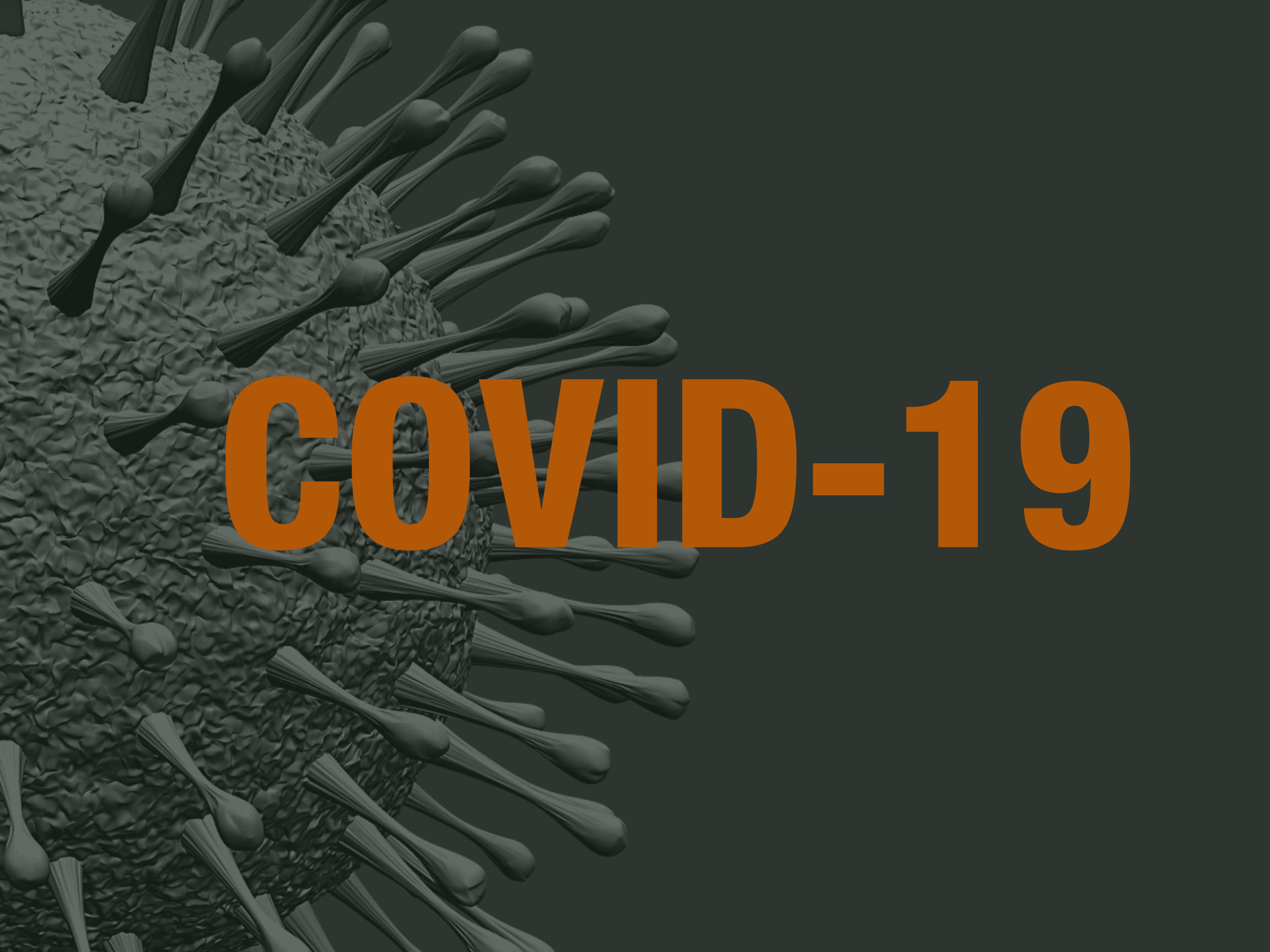 COVID-19 PANDEMIC